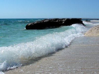 Samurdan Astara çayına qədər ərazidə iki yüz metr dəniz geri çəkilib - Coğrafiyaşünas
