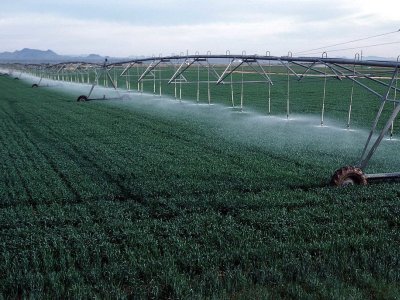 Ağalı kəndinin suvarma sistemi yaxşılaşdırılır