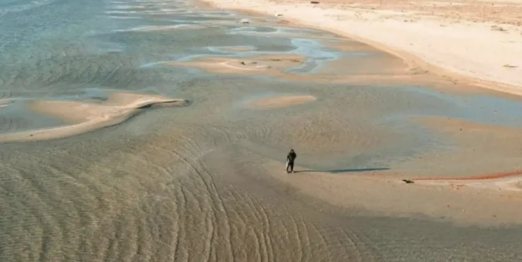 Xəzərdə suyun səviyyəsi rekord həddə düşüb: balıqlar və suitilər təhlükədə
