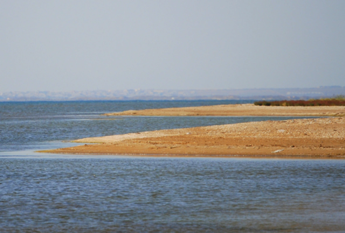 Dünya Bankı Abşeron göllərinin bərpasına 500 min dollar AYIRDI
