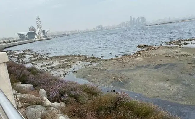 Xəzər dənizində suyun səviyyəsi daha da azalacaq - Muxtar Babayev