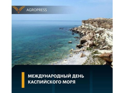 Qazaxıstan Xəzərin bioloji ehtiyatlarının qorunması tədbirlərini gücləndirir