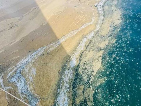 Adriatik dənizinin İtaliya sahilləri selik təbəqəsi ilə örtüldü