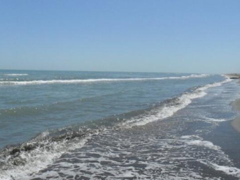 Xəzərdə yeni ada yaranıb