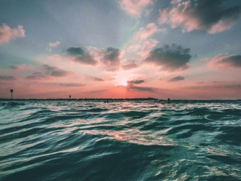 Dünya okeanının səthində temperatur ikinci dəfə ən yüksək həddə çatıb