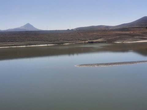 Balıqların kütləvi məhv olmasının səbəbi açıqlandı