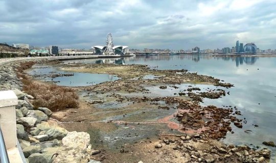 Xəzəri iqlim yox, Kreml QURUDUR