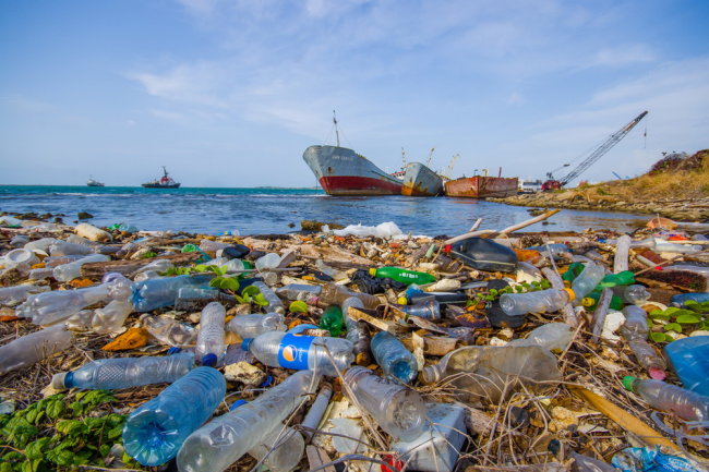 Yapon alimləri dənizlərdə plastik probleminin həllin tapıb