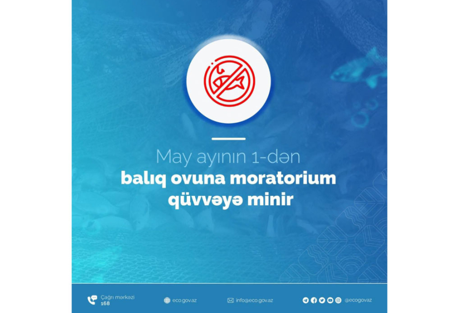 Ölkədə balıq ovu müvəqqəti QADAĞAN EDİLDİ