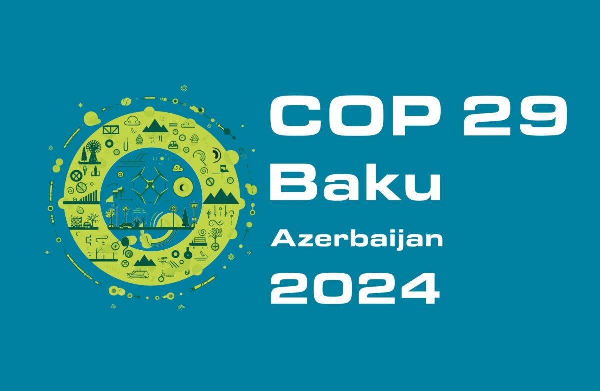 COP29-un rəsmi saytı istifadəyə VERİLDİ