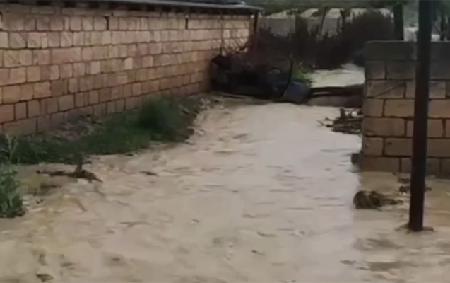 Kəndlərə sel gəldi, evləri su basdı - VİDEO