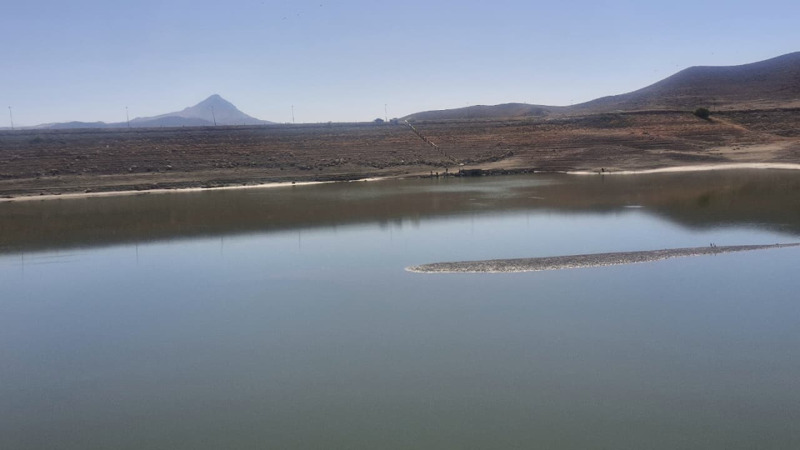 Balıqların kütləvi məhv olmasının səbəbi açıqlandı